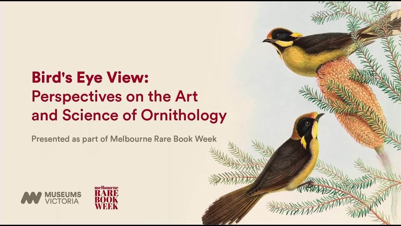 RareBookWeek's tweet card. Bird's eye view: perspectives on the art and science of ornithology