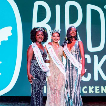 Tweet card summary image