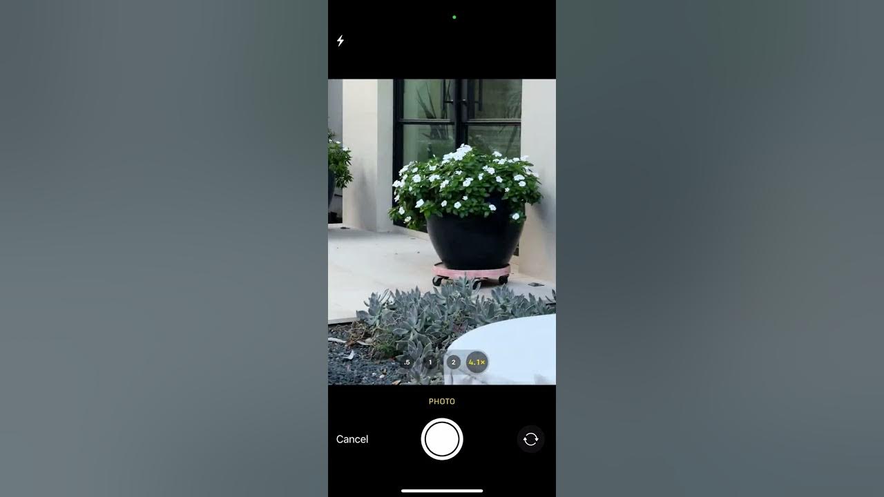 x86AI's tweet card. Demo2ndDegree