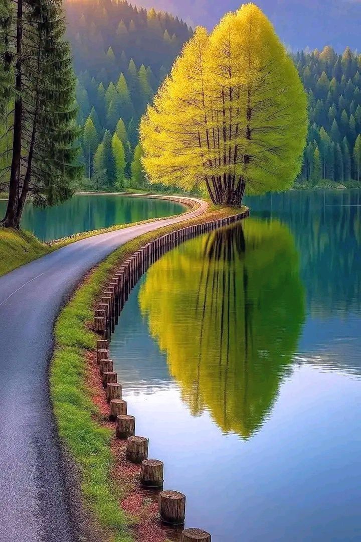 wasdfzxcv6259's tweet card. Discover even more ideas for you