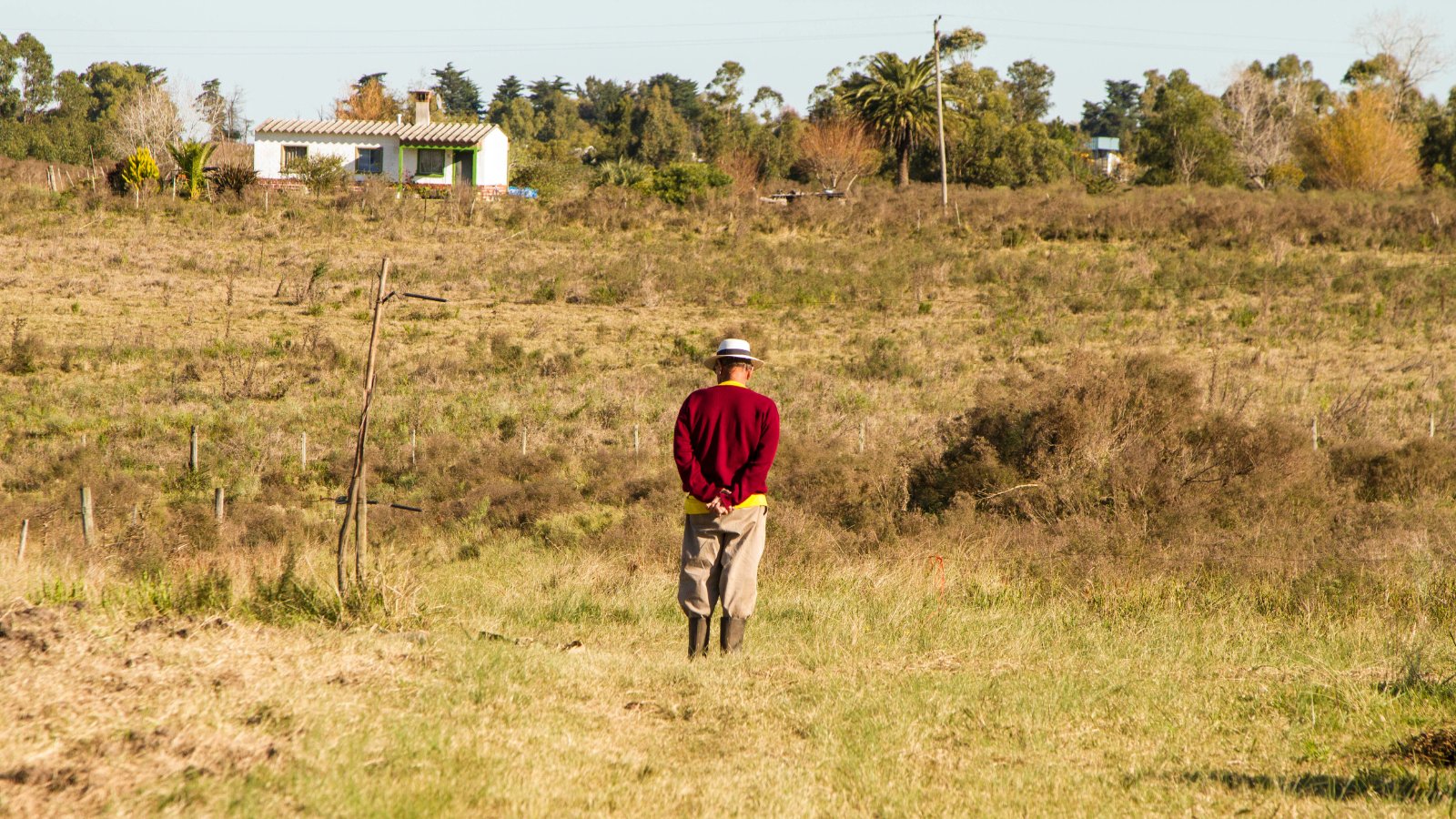 FoEint's tweet card. Nature based solutions, natural carbon removals and carbon offsets are a threat to peoples and planet. Read our Double Jeopardy report.