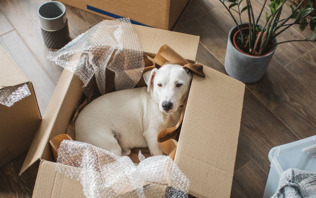 CatchTheKeyInc's tweet card. You'll be grateful these tips were there to help your long distance move go successfully. #relocation #movingtips