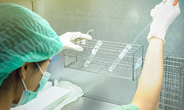 DailyMail's tweet card. Researchers in China looked at semen samples of 38 men who had tested positive for COVID-19. One in six had traces of the virus in their semen - including some who were no longer sick.