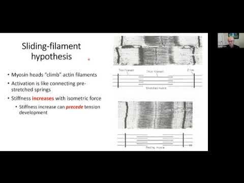 Yi__Li's tweet card. Mastering the Skeleton and its Muscles by Neville Hogan