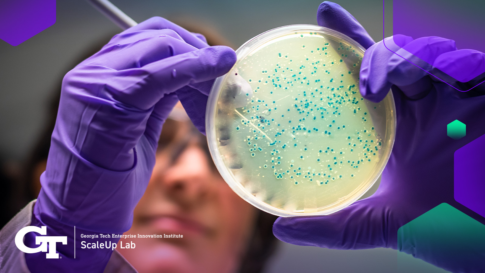 ScaleUpLab's tweet card. Microbial engineering, an interdisciplinary field at the intersection of microbiology, genetics, and engineering, has emerged as a powerful tool for addressing pressing global challenges. By manipu...