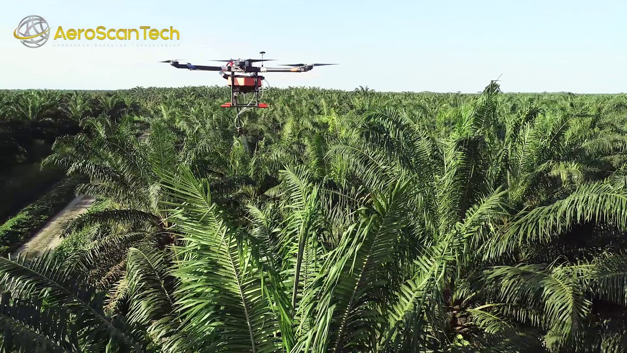 AeroScanTech's tweet card. Drone para Fumigación en Cultivos de Palma de Aceite - AeroScanTech