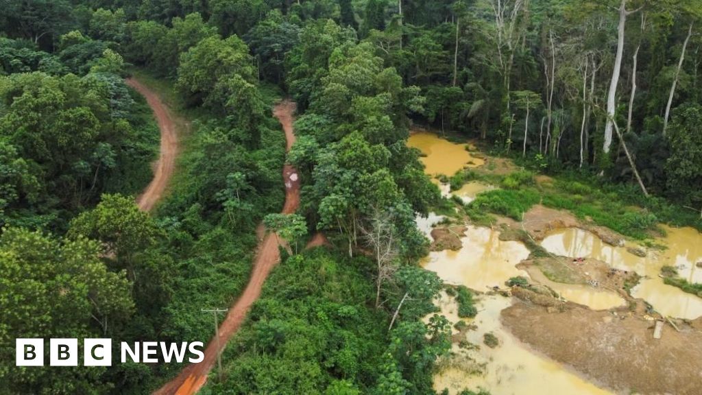 BBCWorld's tweet card. Rivers have been polluted and forests destroyed on a shocking scale by illegal gold miners.