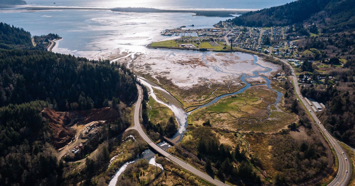 nature_org's tweet card. Estuaries are among the most productive habitats on Earth.