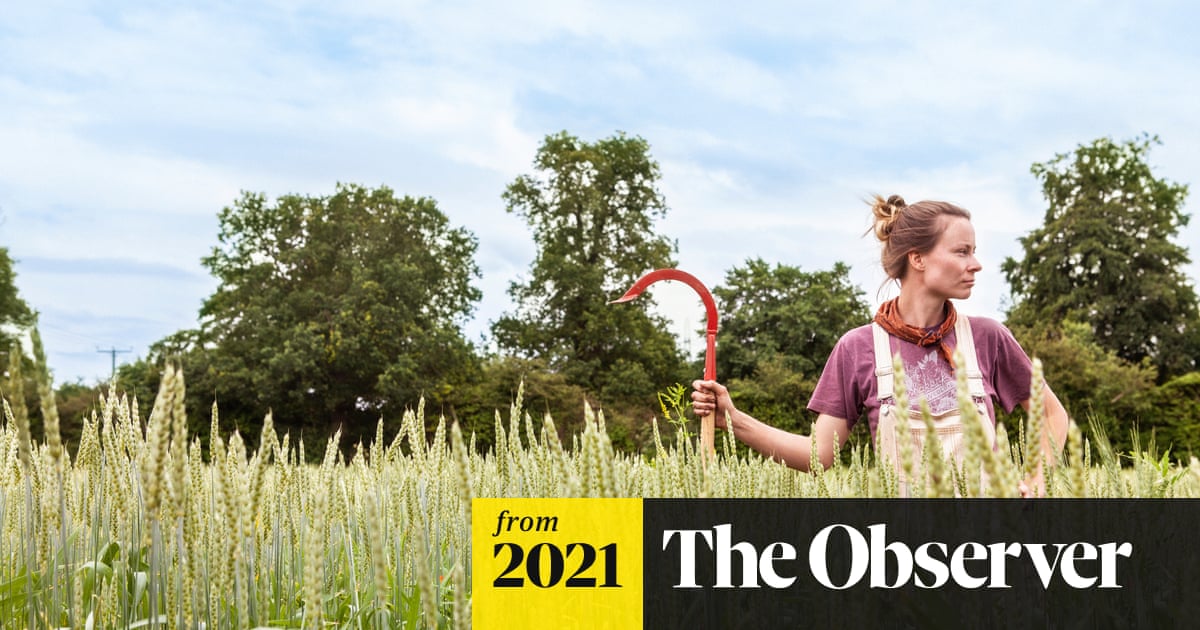 TheEthicalChef's tweet card. Everyone from small farms to McDonald’s is getting involved in regenerative agriculture. Could it point the way to a better future for farming?