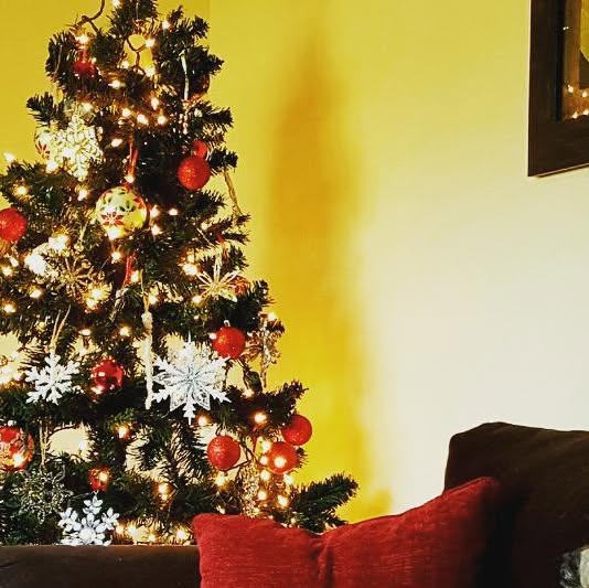 we_adopt's tweet card. WAG, Inc. (@weadoptgreyhounds) • Instagram photo