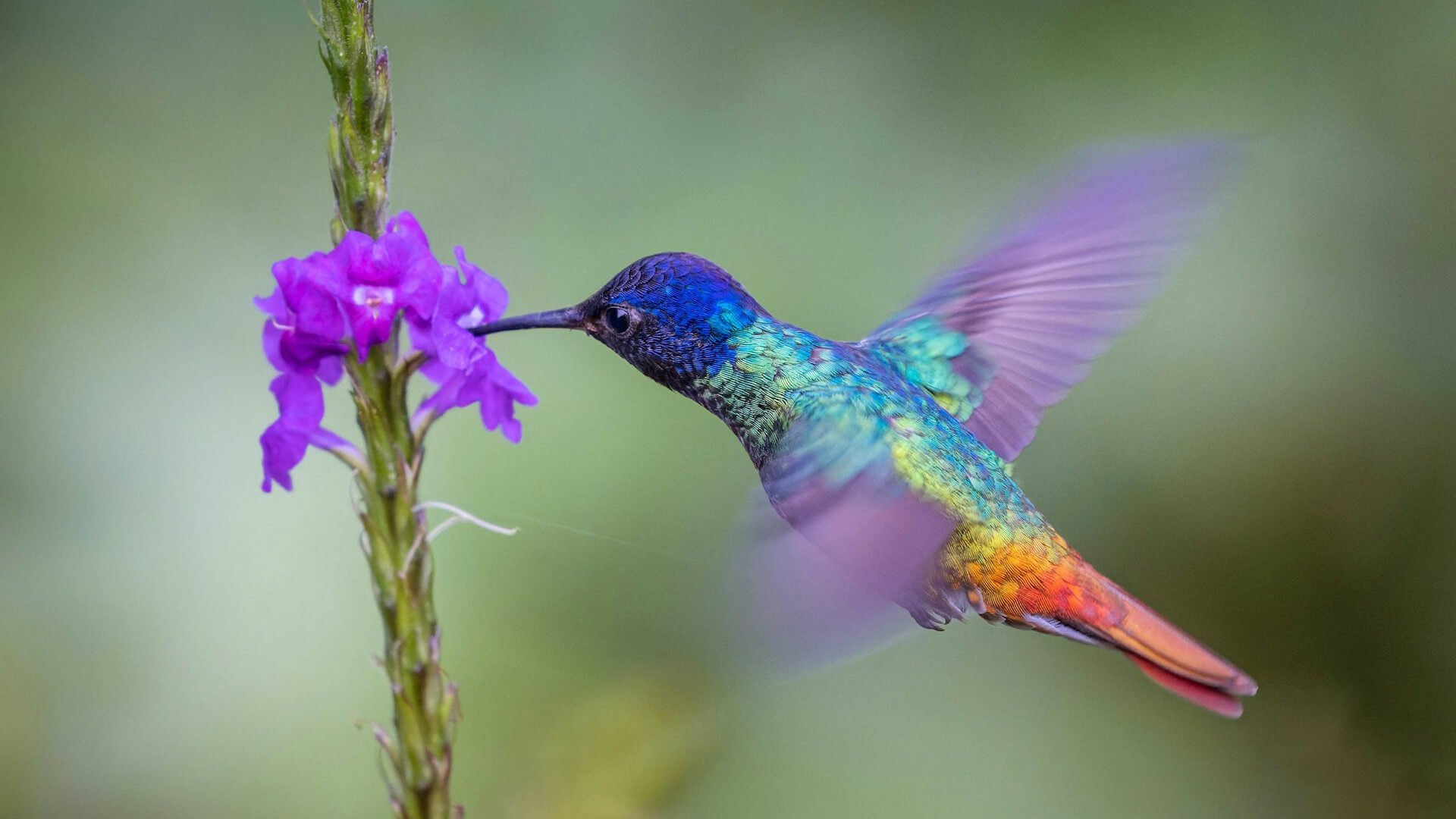 adevopsgirl_'s tweet card. Learn how to use the Fluent Operator to deploy, manage and configure Fluent Bit and Fluentd in Kubernetes using CRDs in this tutorial.