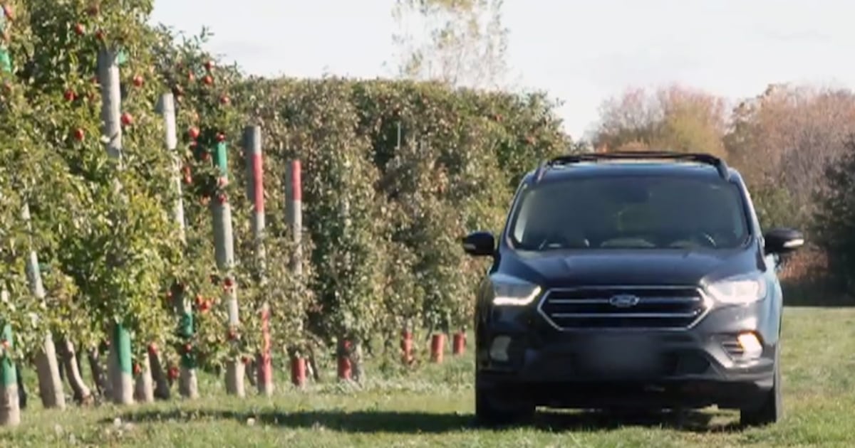 mahabs4life's tweet card. Farmers across Ontario are reporting a surge in thefts this year, costing some tens of thousands of dollars in lost revenue.