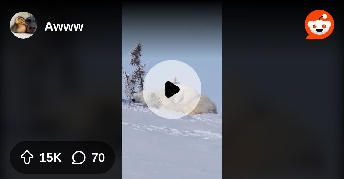 IntolerantLeft4's tweet card. Explore this post and more from the Awww community