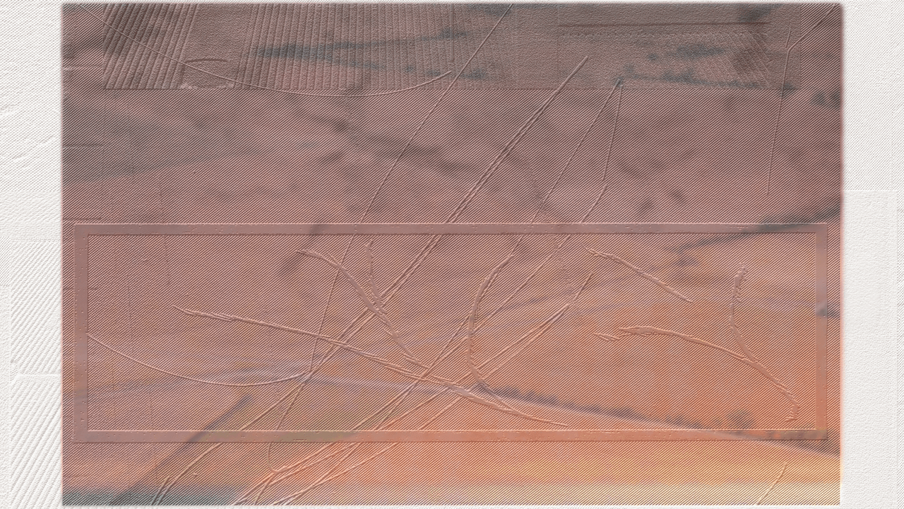 FORCEDEXPOSURE's tweet card. Read Daniel Bromfield’s review of the album.