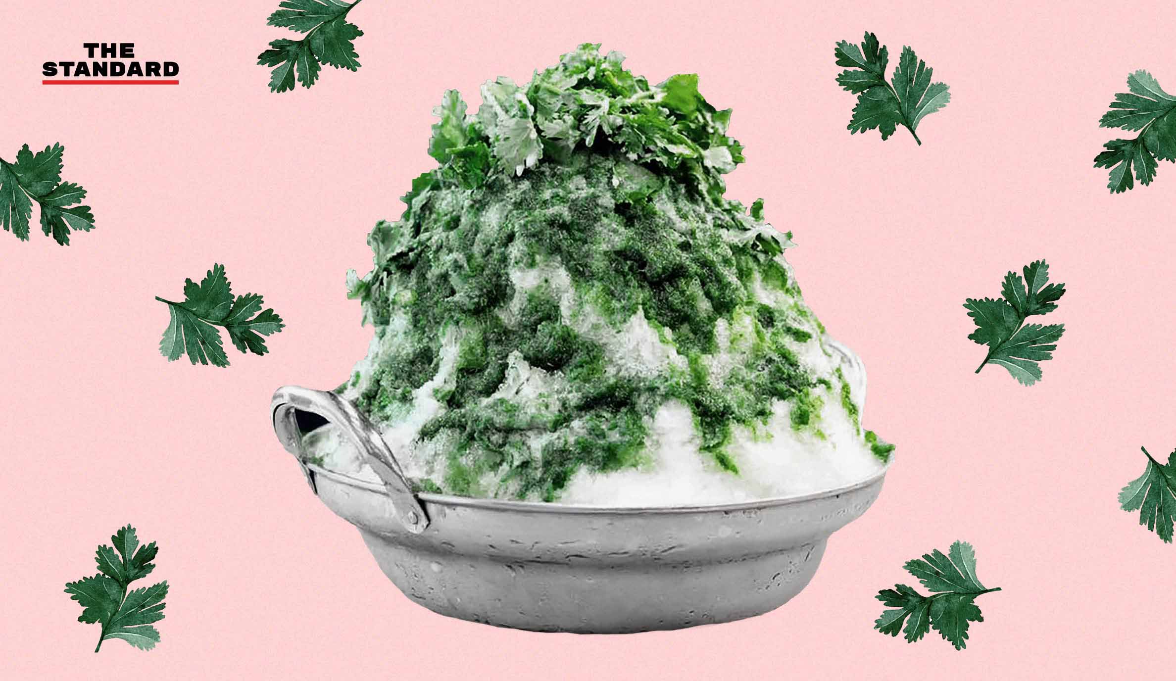 thestandardth's tweet card.       กระแสการบริโภคผักชี หรือ ‘ผักชีฟีเวอร์’ ในประเทศญี่ปุ่น ยังคงแรงอย่างต่อเนื่องแบบฉุดไม่อยู่ และคาดว่ากราฟคงพุ่งแรงขึ้นเรื่อยๆ