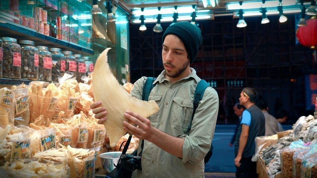 chris_nugent_'s tweet card. We made Seaspiracy. Help us protect 30% of our oceans by 2030 from industrial fishing.