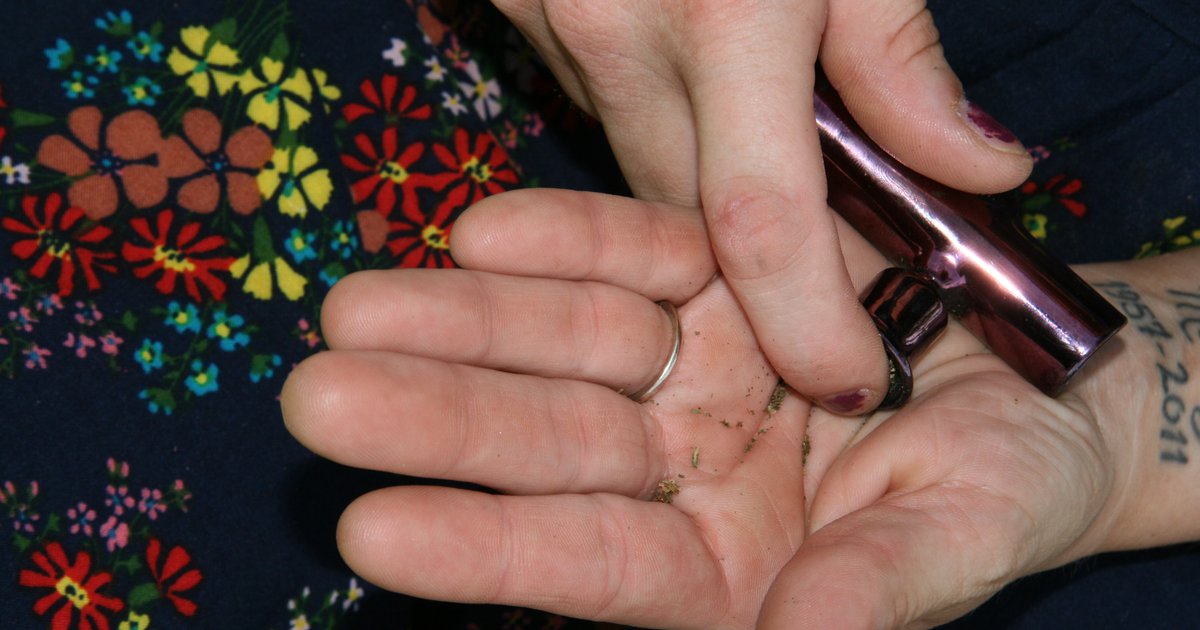 NativeUnity's tweet card. At its meeting Monday, the tribe said it plans to swear in members of its five-person commission, appoint officers, and review and possibly approve regulations for the sale of recreational and...