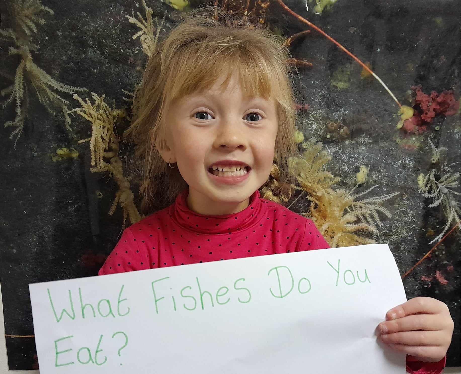 KellyGrTDC's tweet card. For the first time, students from three remote British islands in the South Atlantic Ocean have come together to share their love of the ocean for Marine Protected Areas Day (1 August) Children from...