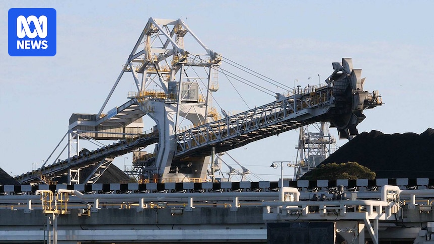 DrChrisMcGrath's tweet card. The Queensland Land Court rules human rights would be unjustifiably limited by a proposal to dig the state's largest coal mine in the Galilee Basin in Central Queensland.