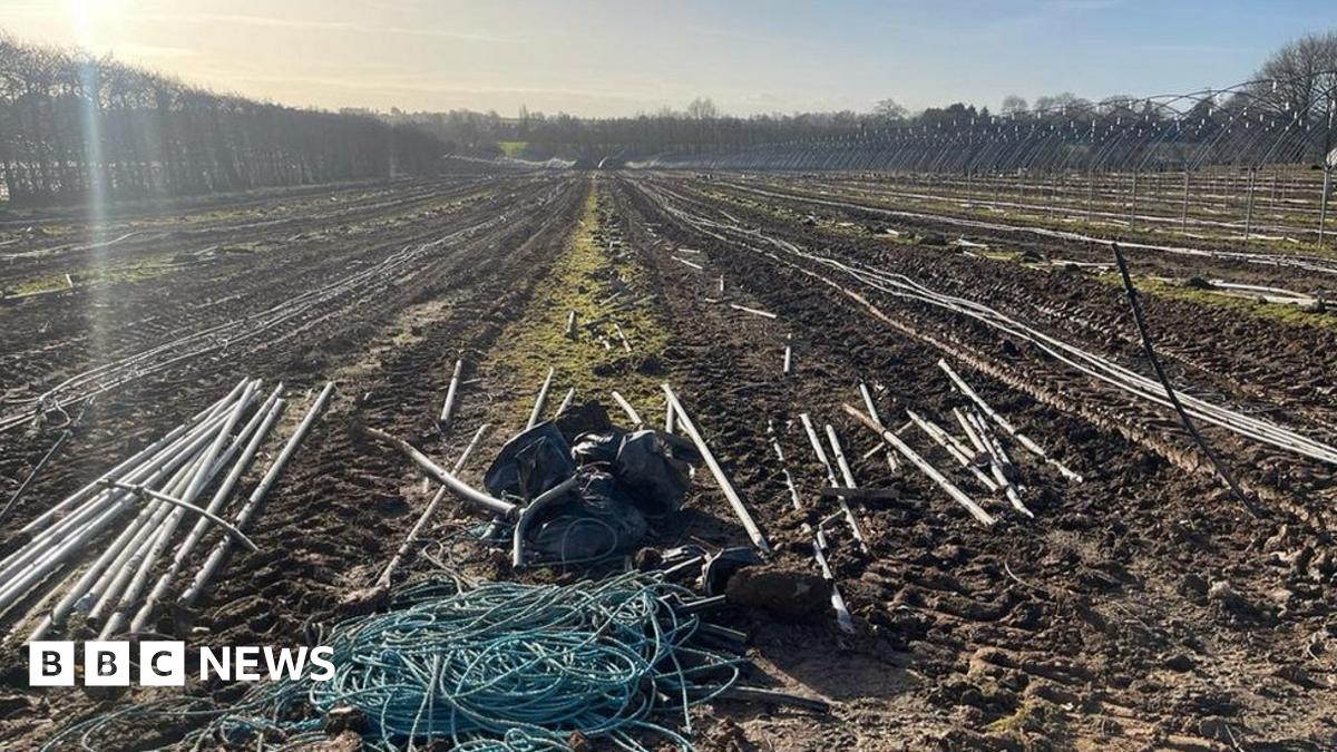 mrjamesob's tweet card. Rising labour costs and low prices force an end to decades of tradition at a business.
