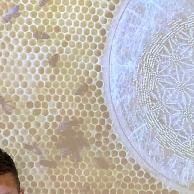 MsLopezArtClass's tweet card. Ms. Lopez Art Room (@mslopezartclass) • Instagram photos and videos