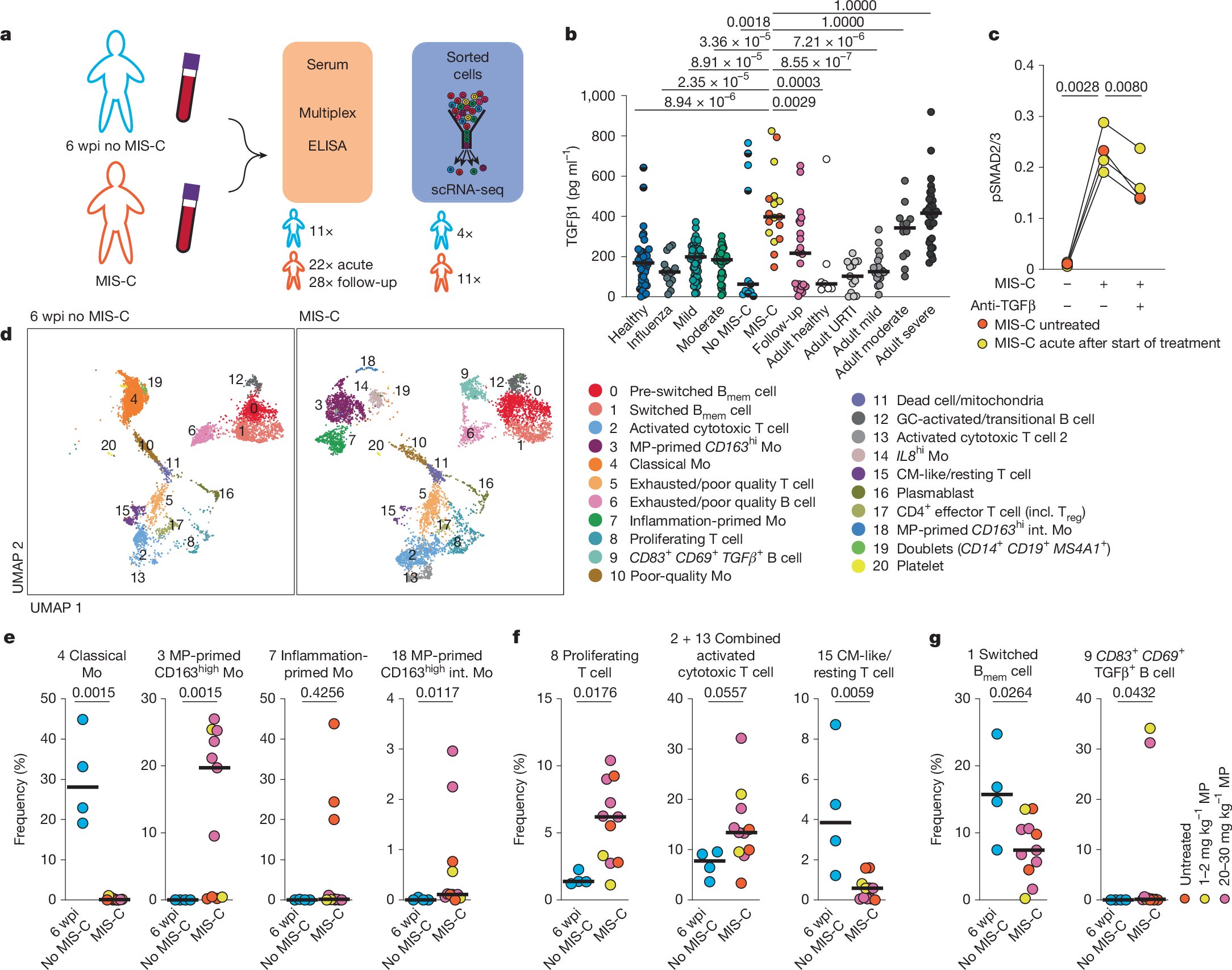 SMeerbeeck's tweet card. Nature - Multisystem inflammatory syndrome following SARS-CoV-2 infection results from increased serum levels of TGFβ, which impairs the reactivation of virus-specific T cells.