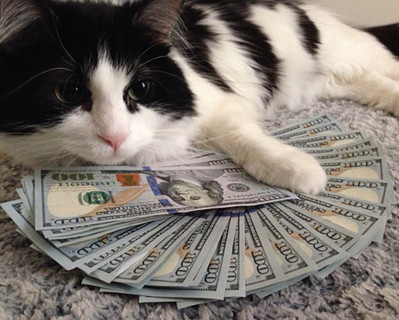 PengoMFC's tweet card. Click here to view