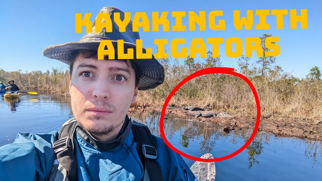 gitBritt's tweet card. Kayak Camping with Alligators in Okefenokee Swamp
