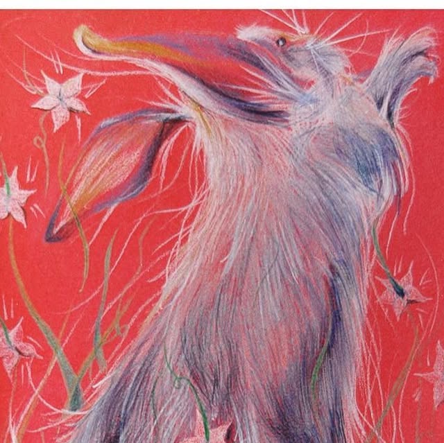 grumpybert's tweet card. Grumpy Bert (@grumpybert) • Instagram photo