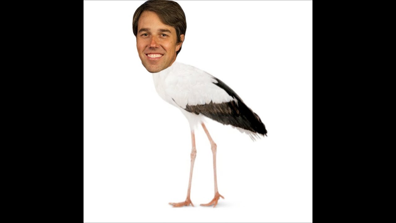 KyleKulinski's tweet card. Polling At 5%, Bet On My Stork Magically Outraises Bernie