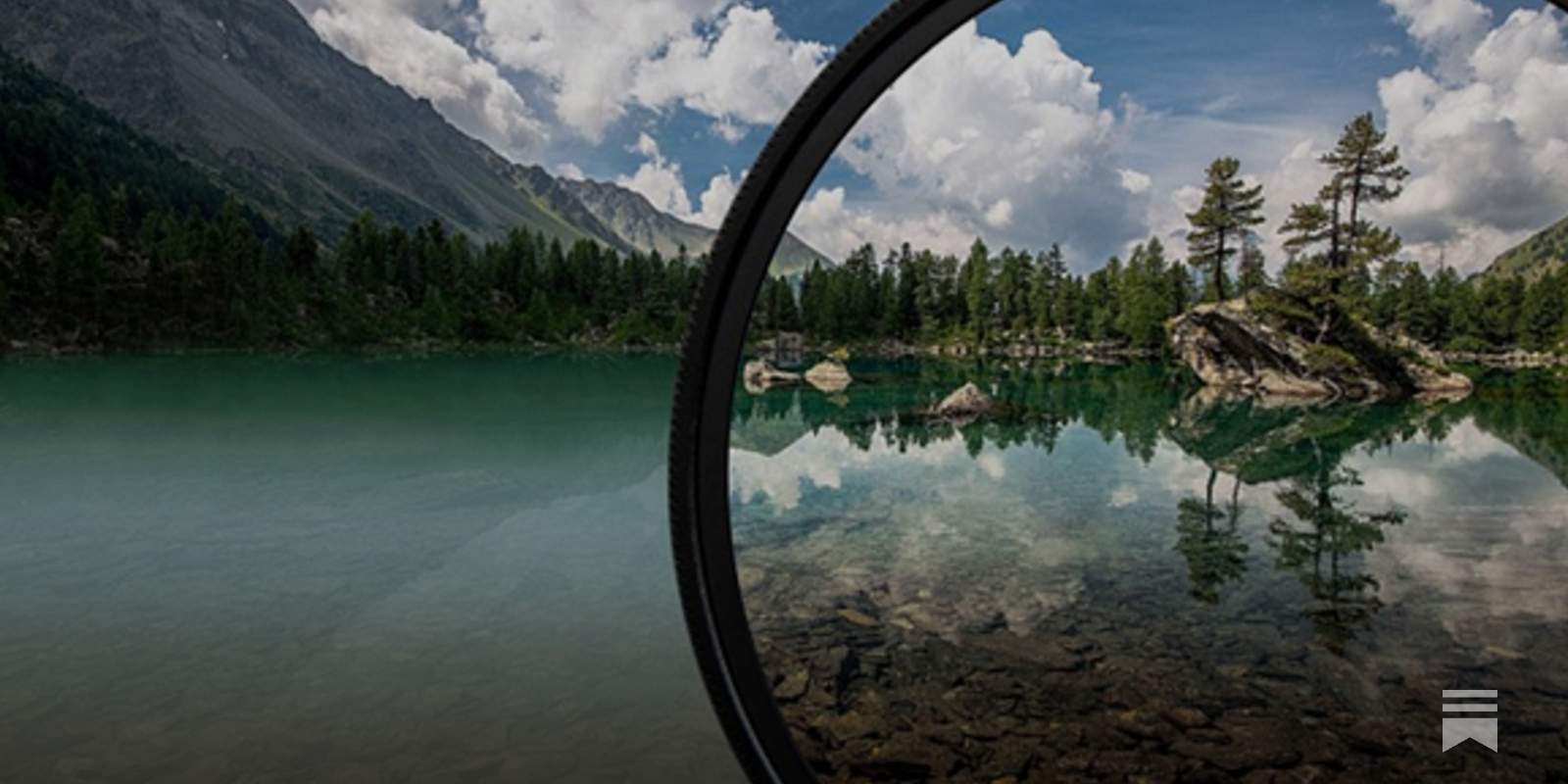 lukeburgis's tweet card. And an invitation to a group that operates according to a different law.