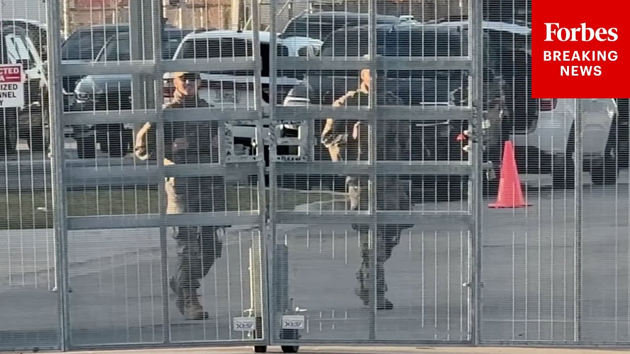 net11e's tweet card. JUST IN: National Guard Troops Are Seen Patrolling ICE Facility In...