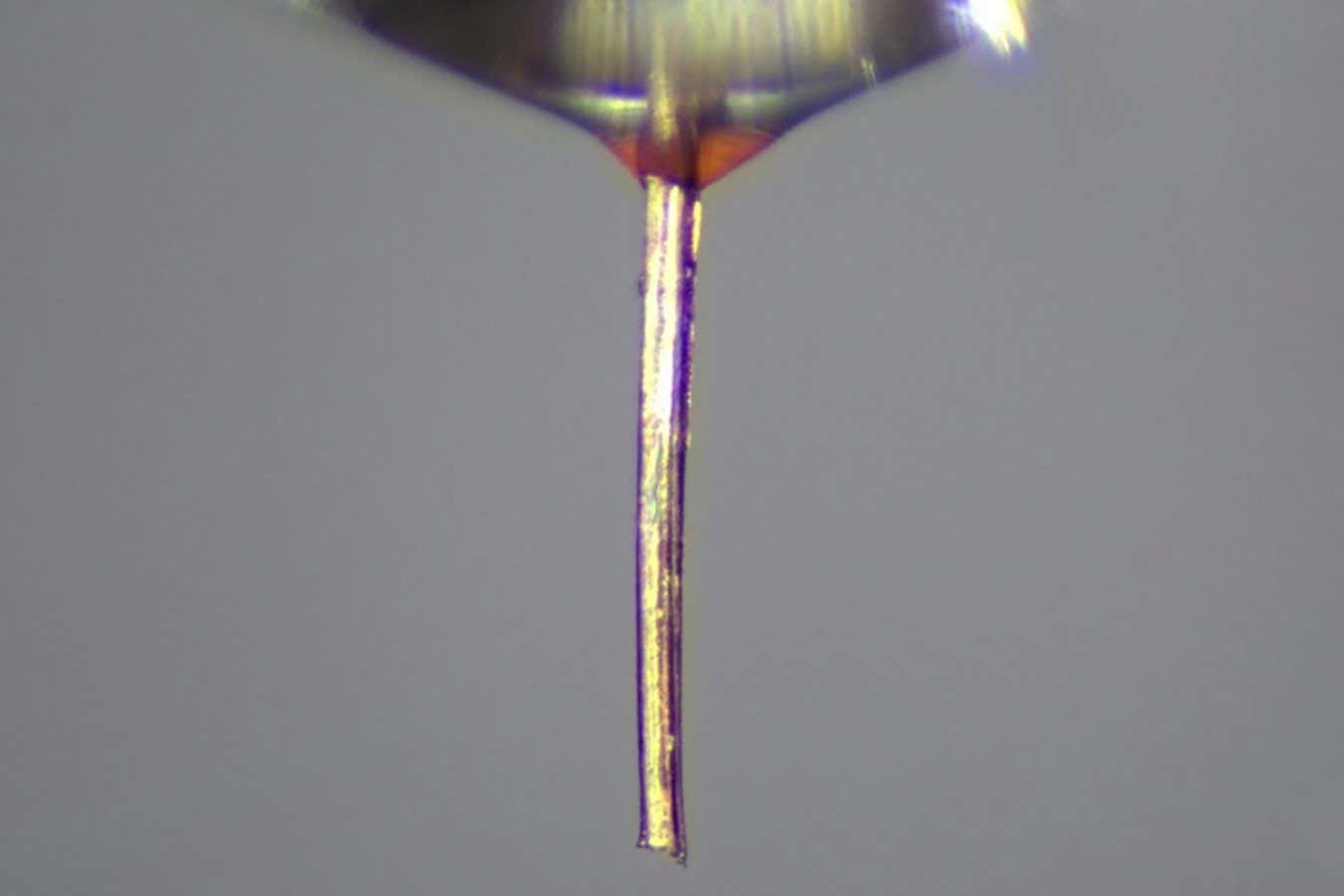 Nievenegro's tweet card. When engineers struggled to make 3D printer nozzles narrow enough for their needs, they turned to nature and found the proboscis of a female mosquito had exactly the properties they needed