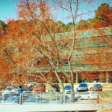 wtccstudents's tweet card. Wake Tech Students (@wtccstudents) • Instagram photo