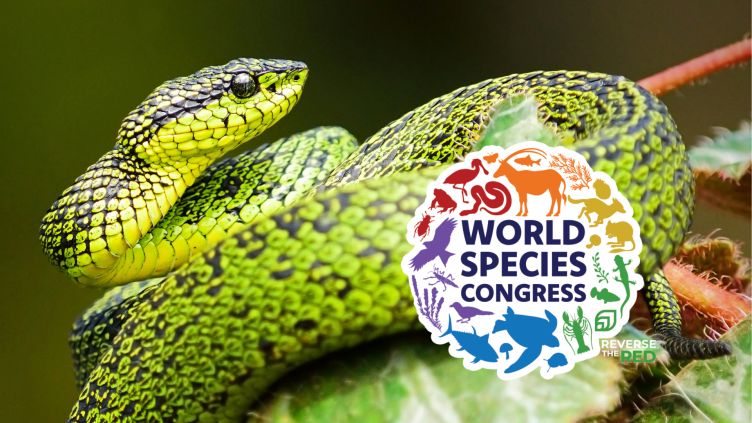 IUCN_Oceania's tweet card. The free online #WorldSpeciesCongress starts May 15 at 8am AEST. That's tomorrow! Registration is still open for this fully online event and includes: - A 24-hour live stream - Live chat discussions...