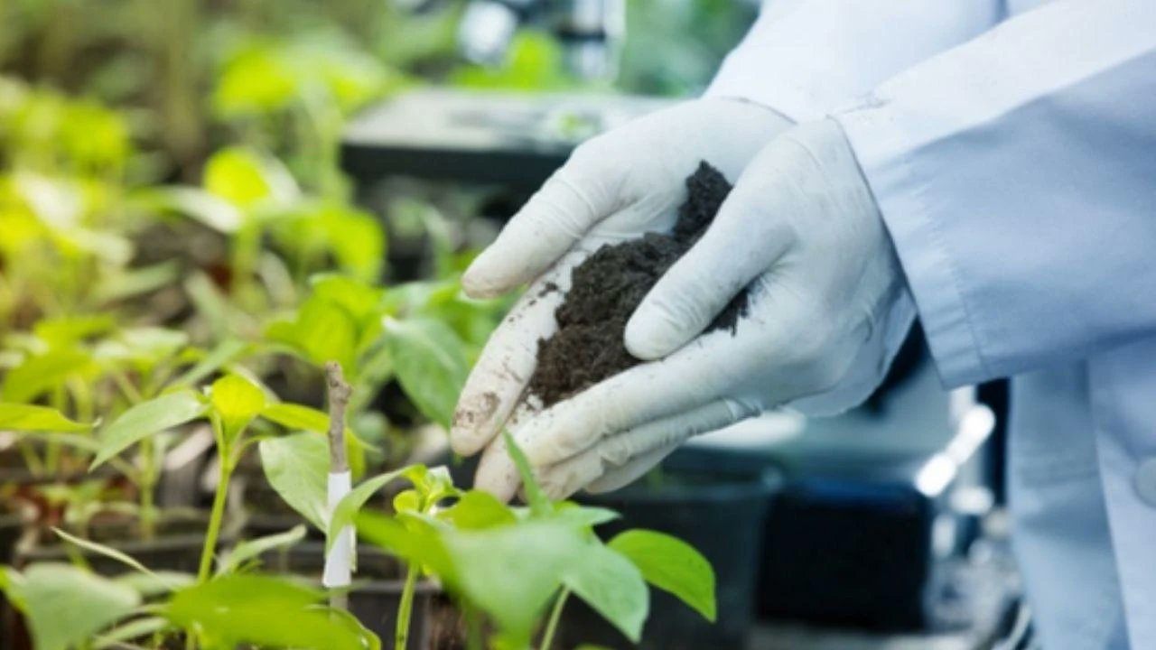 Latam_Forum's tweet card. Nacida como un proyecto científico en Mar del Plata, la empresa desarrolló una tecnología en nanopartículas que potencia la protección de los cultivos.