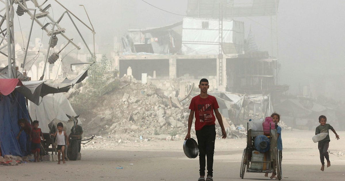 MairavZ's tweet card. ***