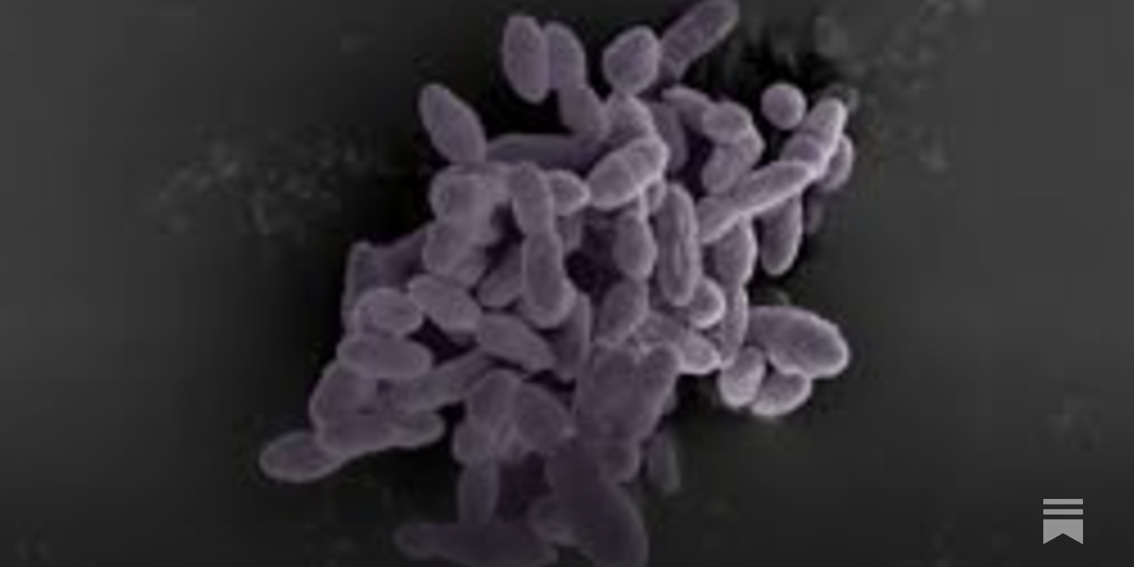 sapinker's tweet card. ...