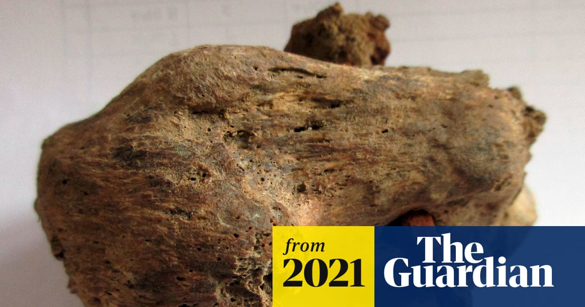 KCSClassics's tweet card. Near 1,900-year-old skeleton discovered with nail through heel bone during excavation in Fenstanton