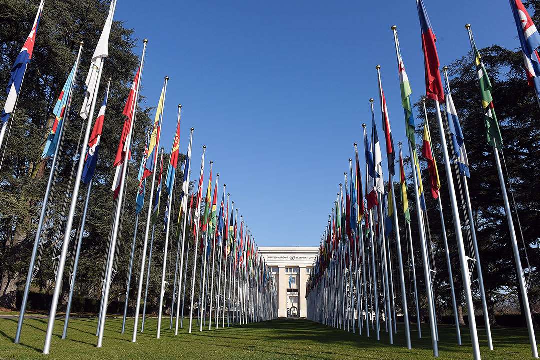 IISD_SDGs's tweet card. The 16th session of the UN Conference on Trade and Development (UNCTAD 16) presented an opportunity to weigh policy options and craft multilateral responses that foster resilient supply chains,...