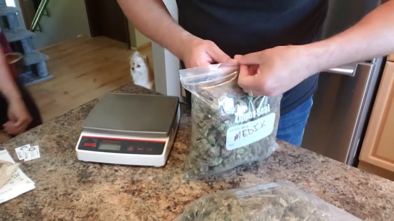 Rickintheshed's tweet card. Join us for Episode 3 where we dive into the performance of the Grow OS630B LED with a focus on our hydroponic setup. This time, we're testing the system with an ebb and flow table, utilizing Green Ho