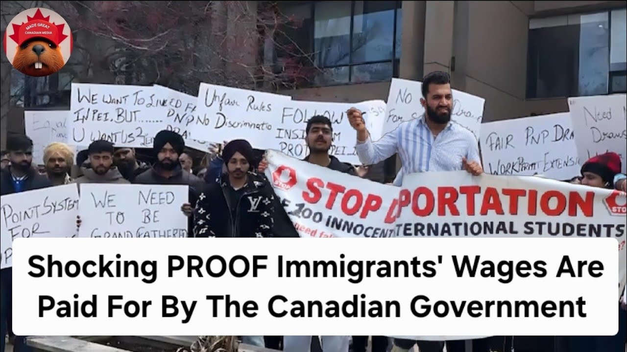david_protector's tweet card. Why Immigrants Are Hired Over Canadians