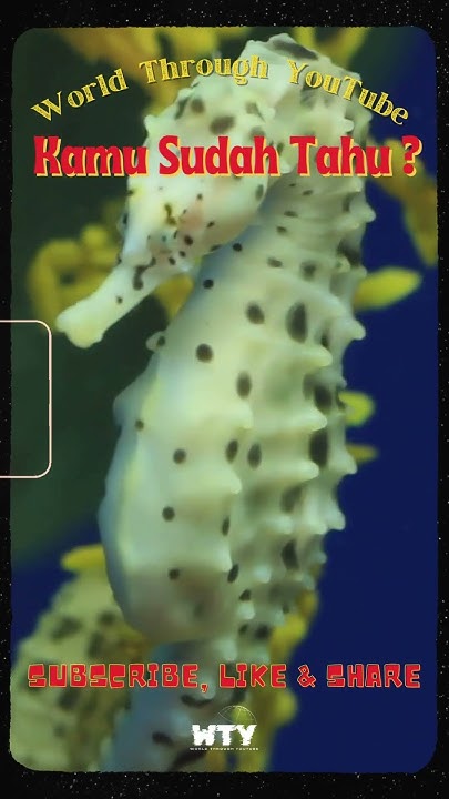 Atta_ID's tweet card. KUDA LAUT ATAU BALING-BALING? #fakta #faktaunik #faktahewan #facts...