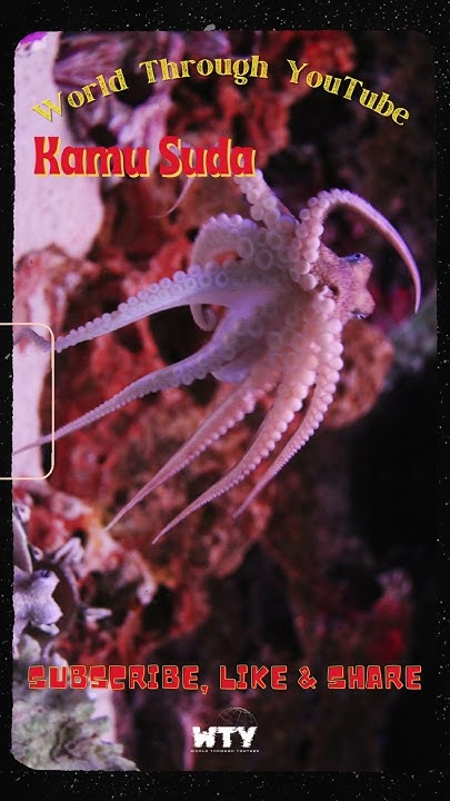 Atta_ID's tweet card. Gurita Adalah Bangsawan Bawah Laut #fakta #faktainformasi #facts...