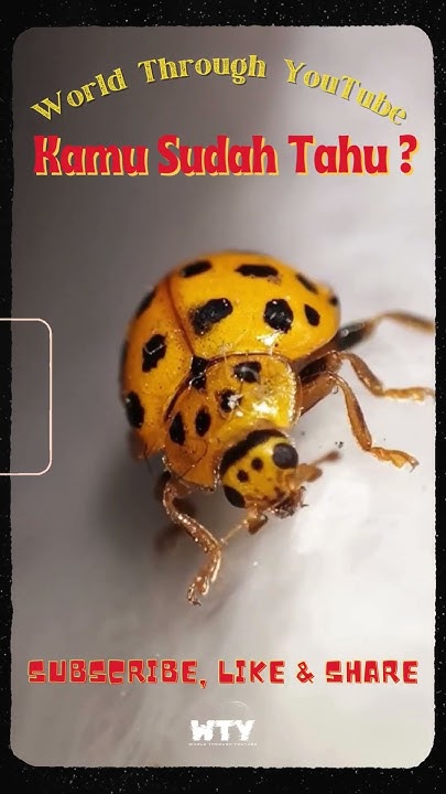 Atta_ID's tweet card. Instruktur Gym Paling Kuat #fakta #faktaberita #faktahewan #facts...