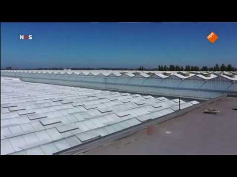 rjpbaan's tweet card. NOS Uitzending: "Dit is een heel goed bedrijf. Wij gaan dat terugbe...