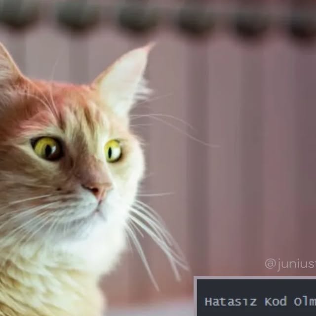 juniustech's tweet card. Juniustech | Teknoloji Şirketi | Web Hizmetleri (@juniustech) • Instagram photo