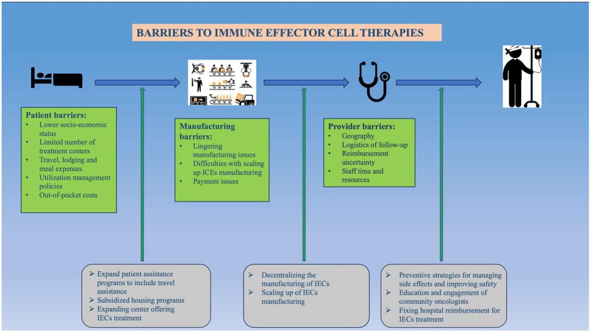 chirusainatham's tweet card. Immune cell effector therapies, including chimeric antigen receptor (CAR)-T cells, T-cell receptor (TCR) T cells, natural killer (NK) cells, and macrophage-b...