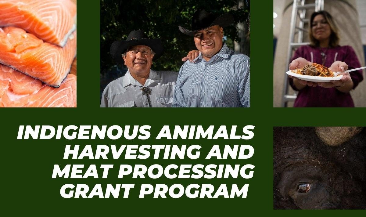 nabresource's tweet card. $50m available for tribes through Indigenous animals grant Scorsese film about Osage Nation receives 9 minute ovation at Cannes