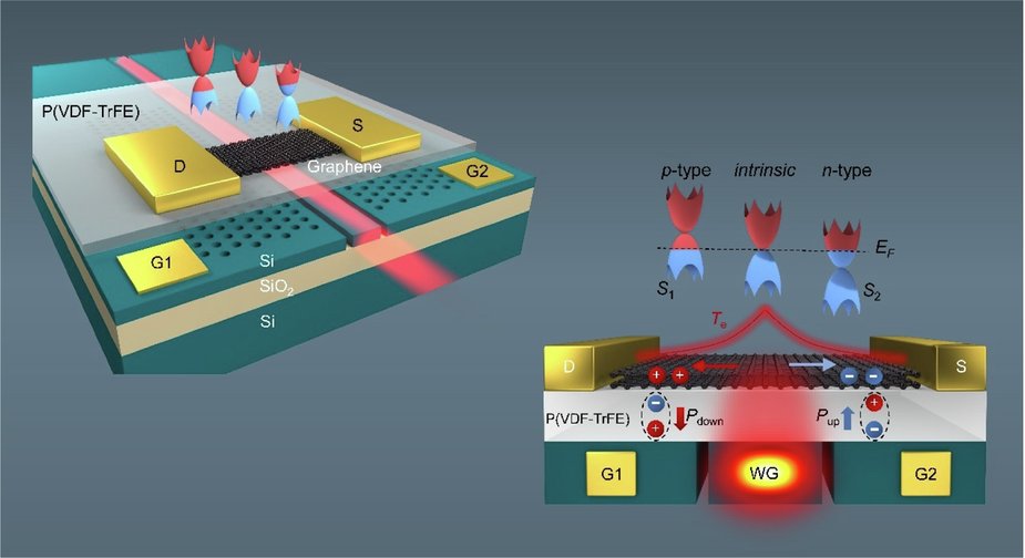 LightSciAppl's tweet card. Light: Science & Applications - Graphene’s photothermoelectric effect and on-chip compatibility enable ultrafast, low-power chip-integrated photodetectors. We demonstrate a nonvolatile...